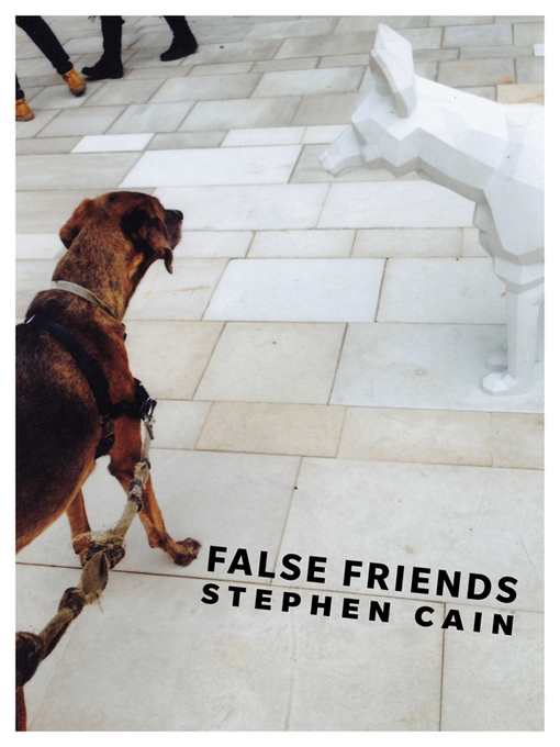 Title details for False Friends by Stephen Cain - Available